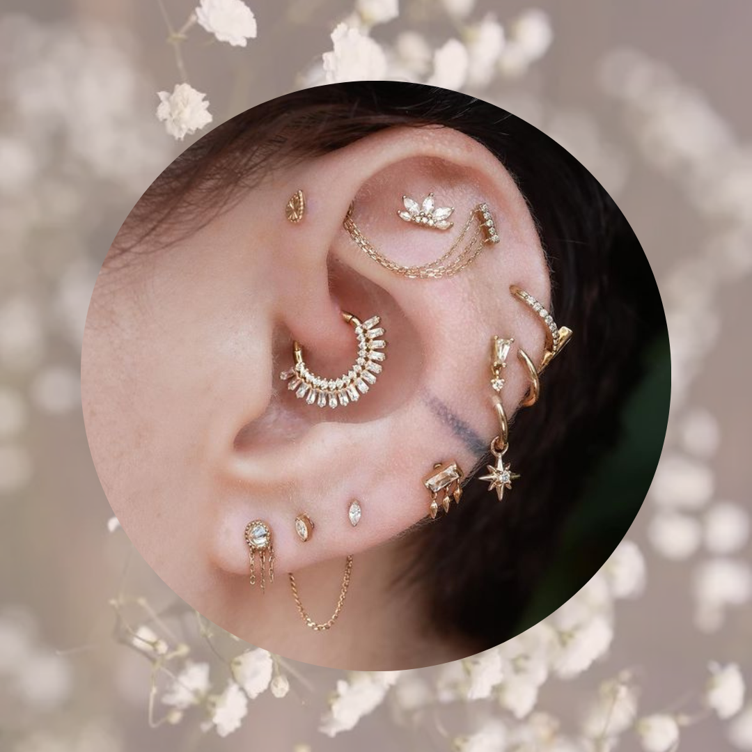 photo de piercings sur une oreille, il y a des helix des lobes un daith tragus