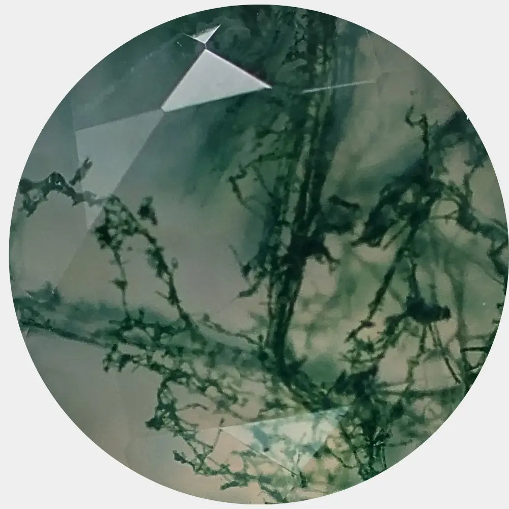 L'agathe - Kawaii Place piercing