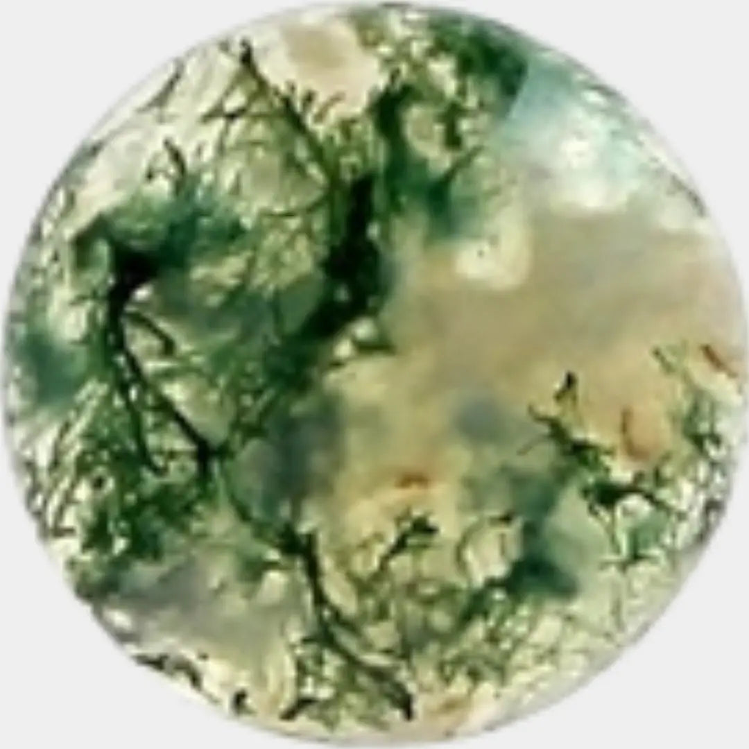 L'agathe - Kawaii Place piercing