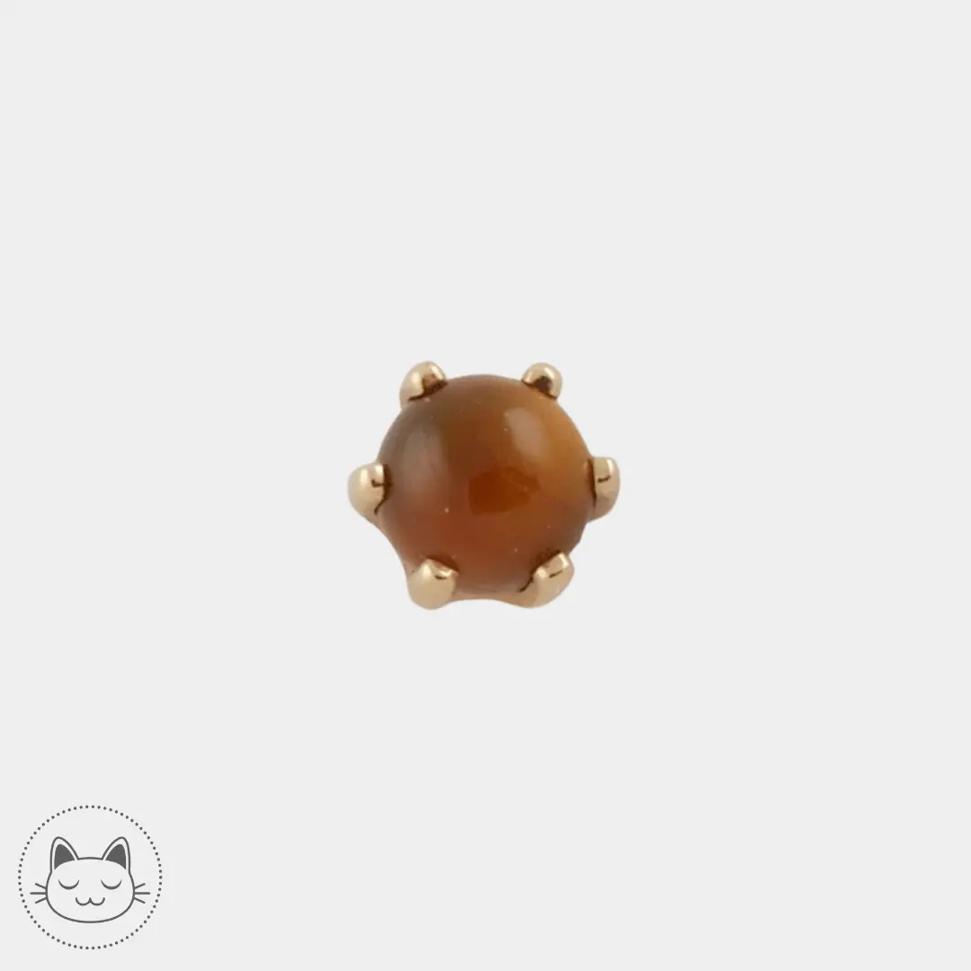 BVLA - Bead Prong - Oeil de tigre - Kawaii Place piercing