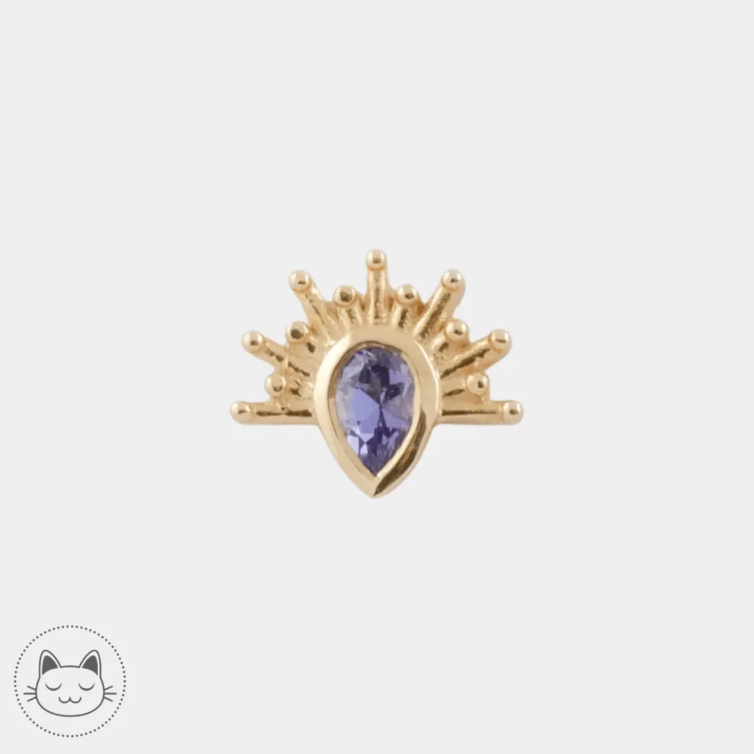 BVLA - Borderline - Tanzanite - Kawaii Place piercing