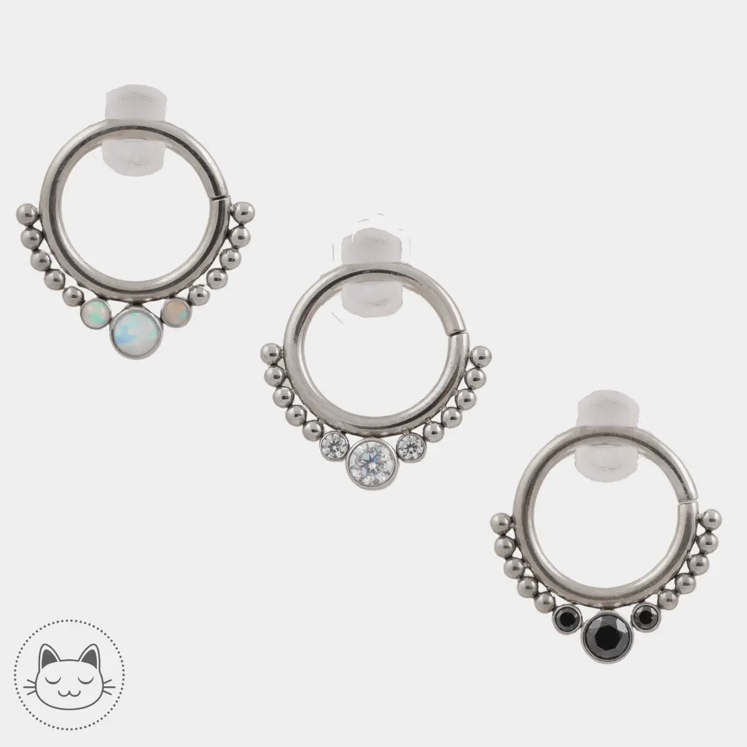 LeRoi - Hsmrf - Titane Argenté - Kawaii Place piercing