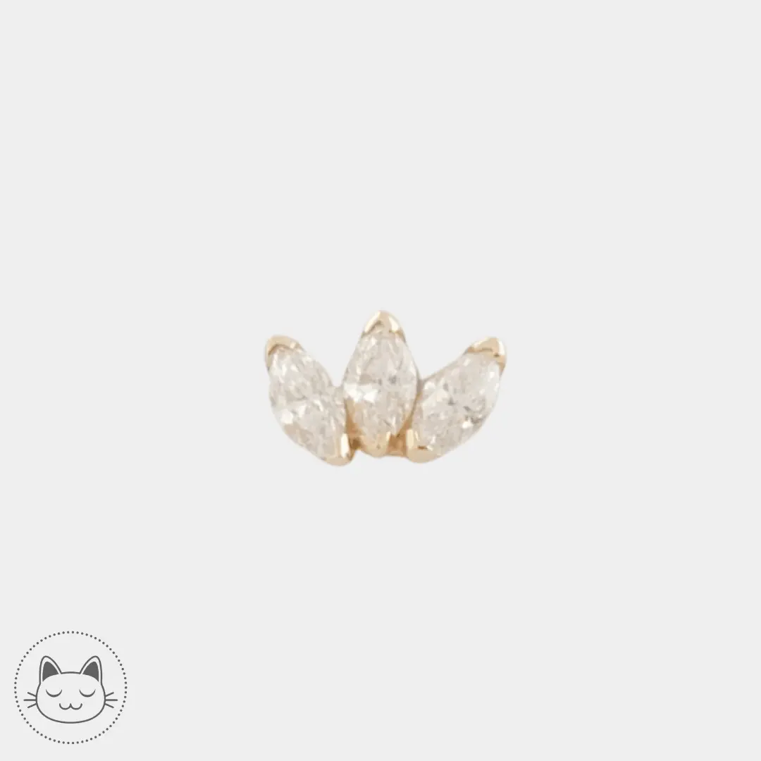 BVLA - Marquise Fan - Diamants blancs - Kawaii Place piercing
