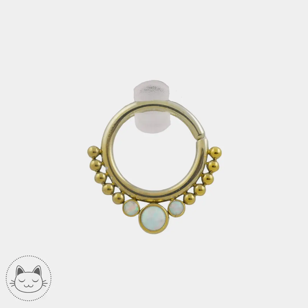 LeRoi - Hsmrf - Titane Doré - Kawaii Place piercing