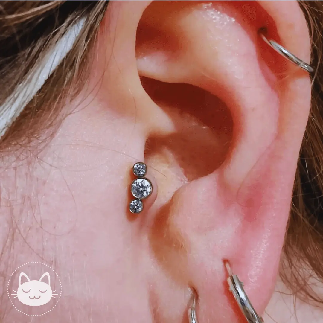 LeRoi - 2t - Titane - Kawaii Place piercing