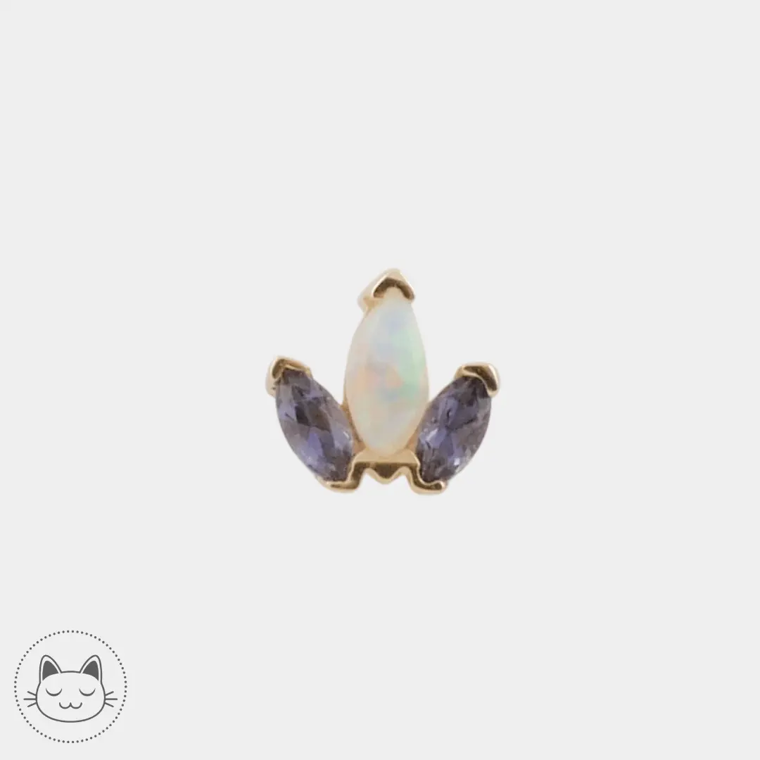 BVLA - Mini Ag - Iolites et Opale - Kawaii Place piercing