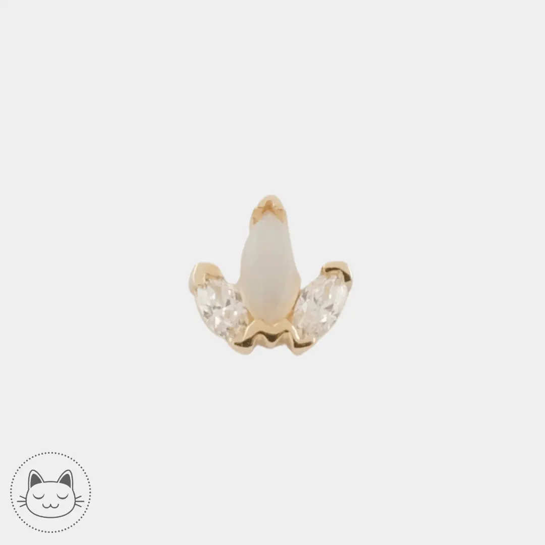 BVLA - Mini Ag - Zircons et Opale - Kawaii Place piercing