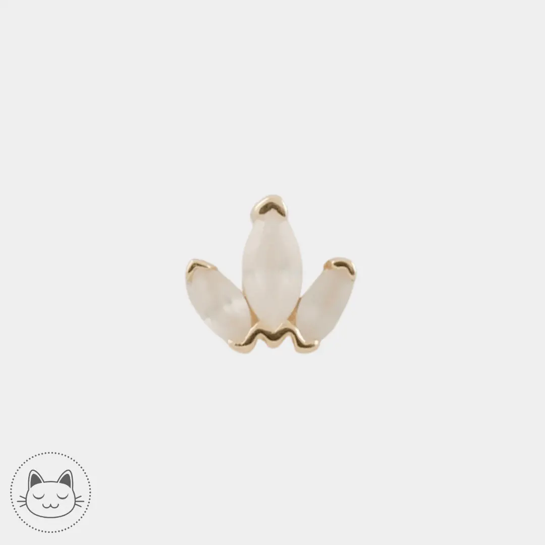 BVLA - Mini Ag - Zircons blancs sablés - Kawaii Place piercing