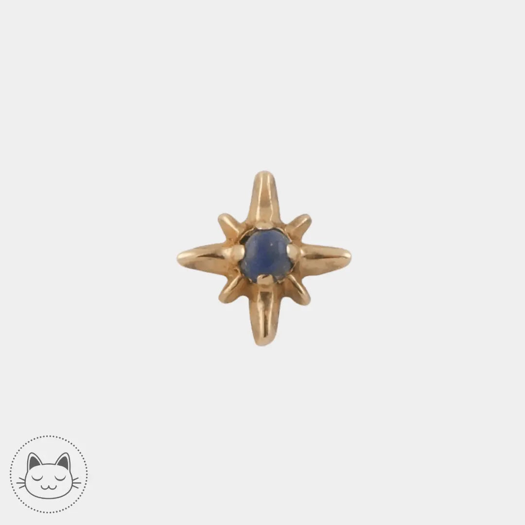 Sacred Symbols - S008 - Lapis Lazuli - Kawaii Place piercing