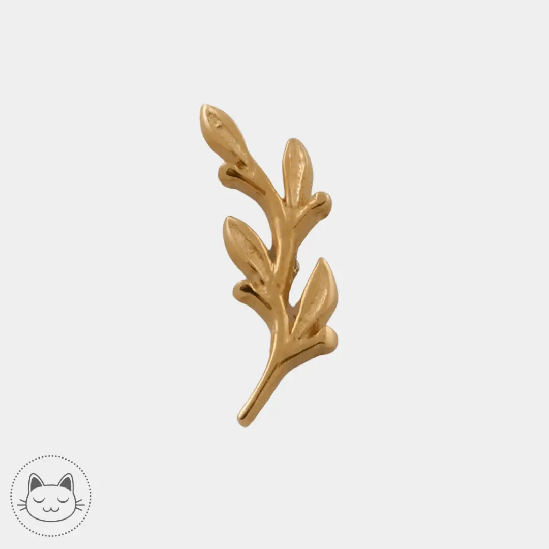 BVLA - Amity - Kawaii Place piercing