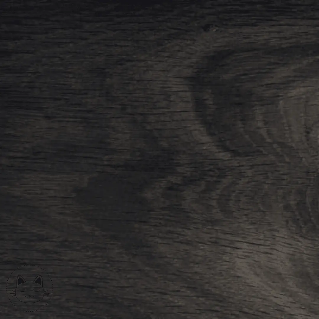 Naga - Tunnel - Ébène - Kawaii Place piercing