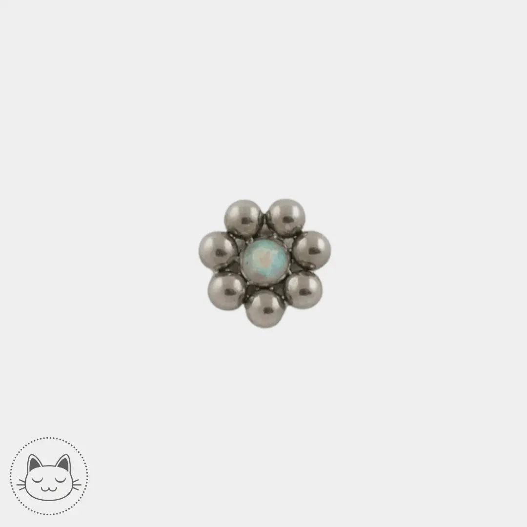LeRoi - 11ht7 - Titane - Kawaii Place piercing