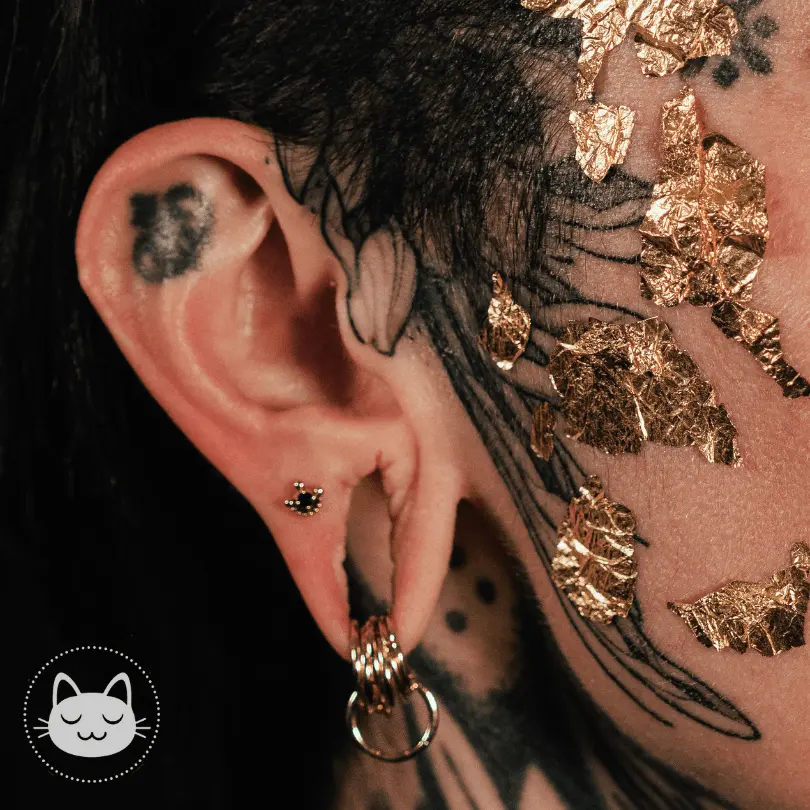 Sacred Symbols - S084 - Onyx - Kawaii Place piercing