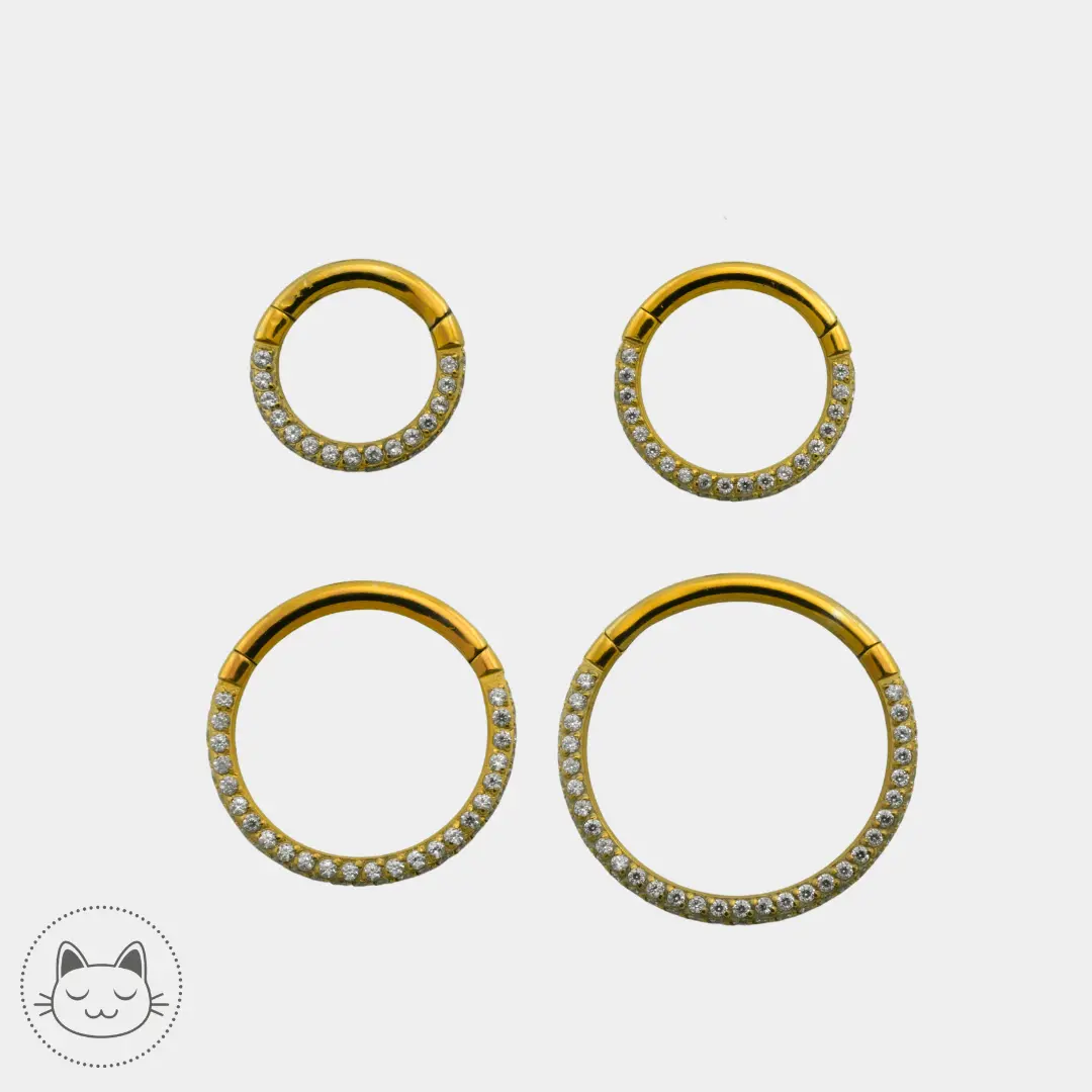 Anneau Titane - Zircons - Kawaii Place piercing