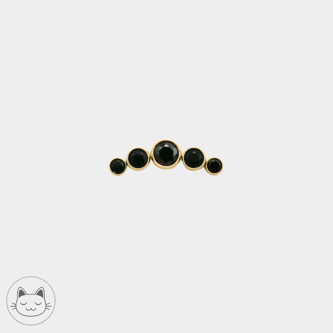 LeRoi - 6t - Titane et zircons noir Kawaii Place piercing