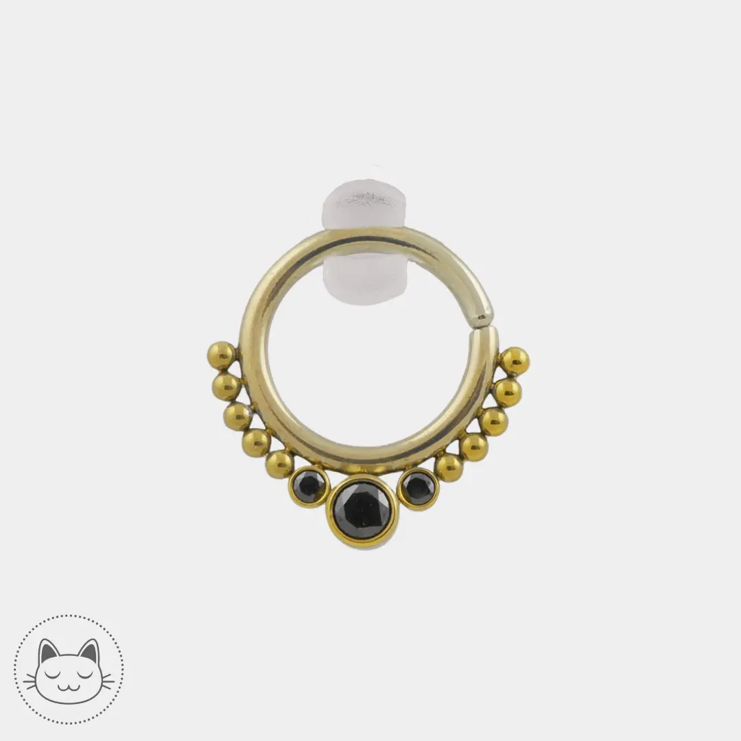 LeRoi - Hsmrf - Titane Doré - Kawaii Place piercing