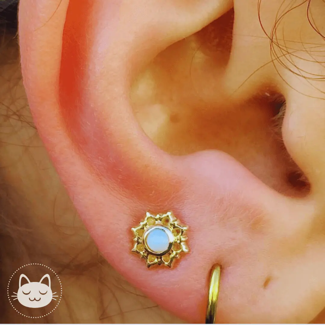 Sacred Symbols - S047 - Chrysoprase - Kawaii Place piercing