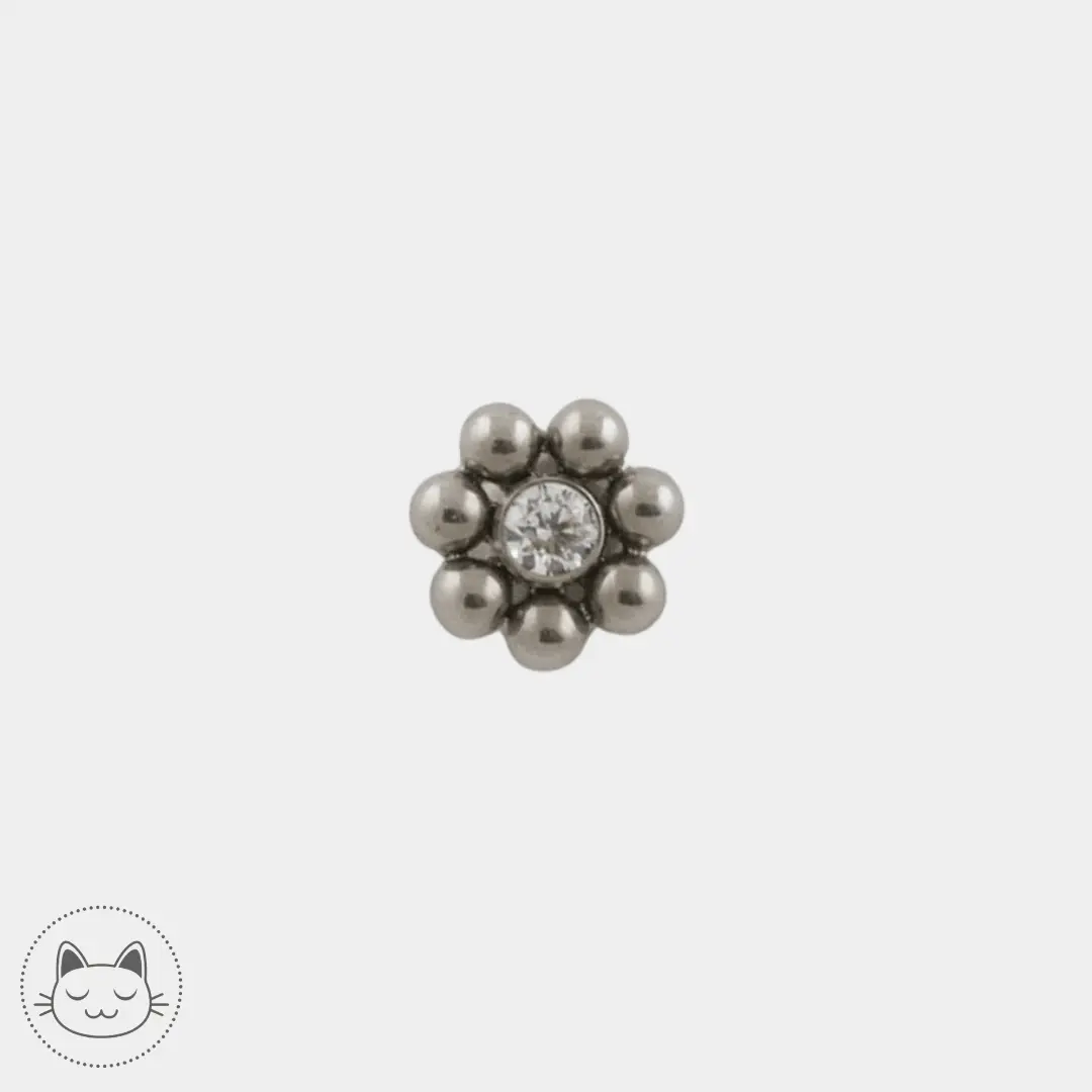 LeRoi - 11ht7 - Titane - Kawaii Place piercing