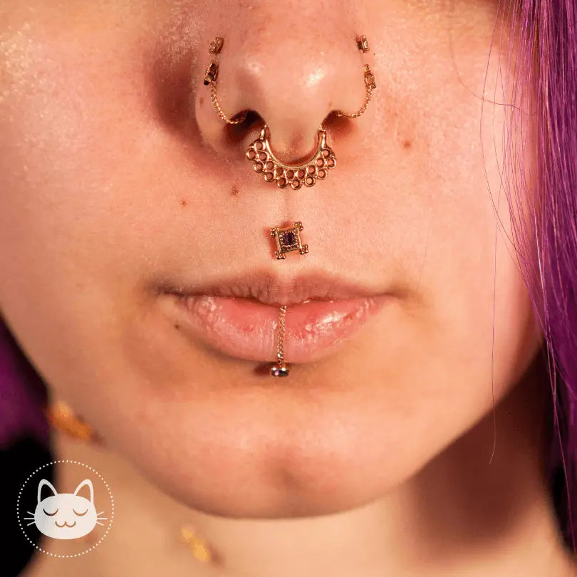 Sacred Symbols - S040 - Améthyste - Kawaii Place piercing