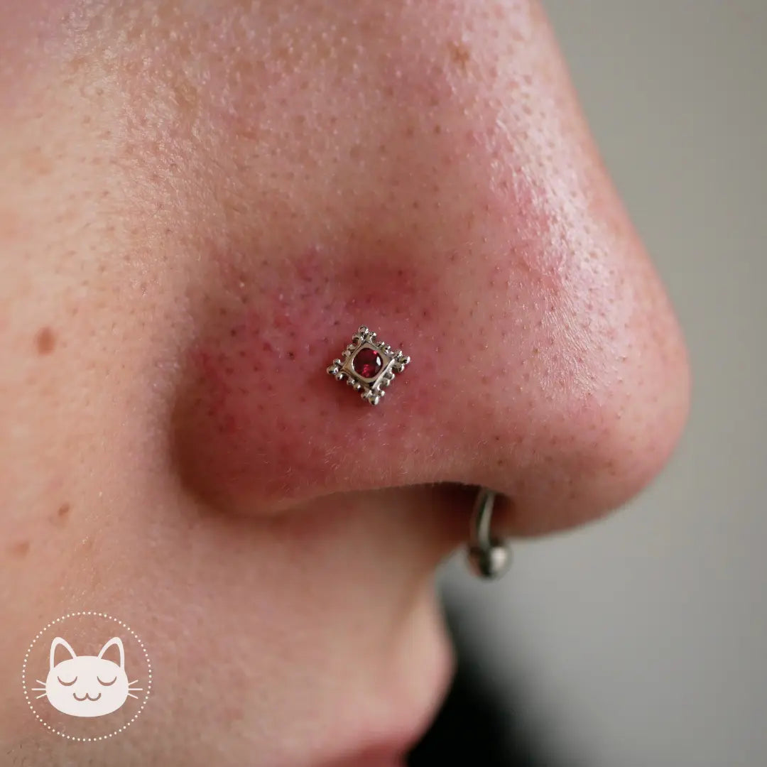 BVLA - Flourish Illusion - Améthyste Kawaii Place piercing
