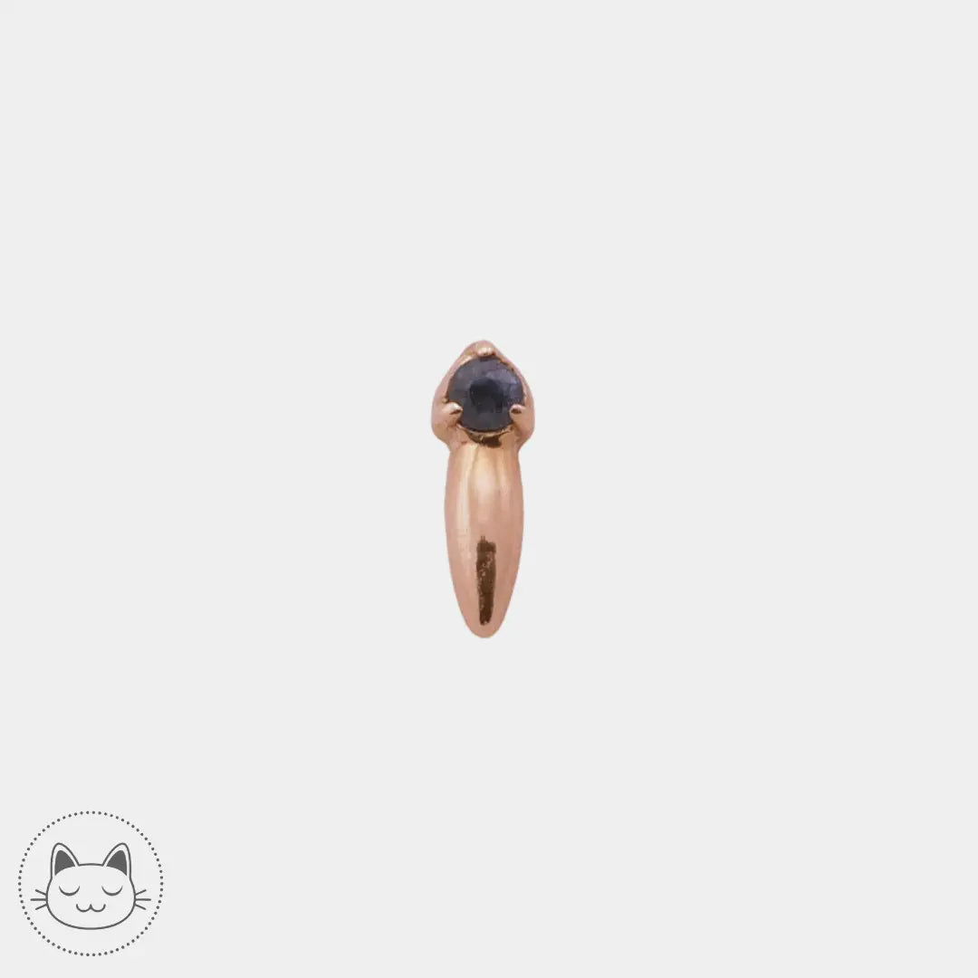 Sacred Symbols - ND2 - Saphir Kawaii Place piercing