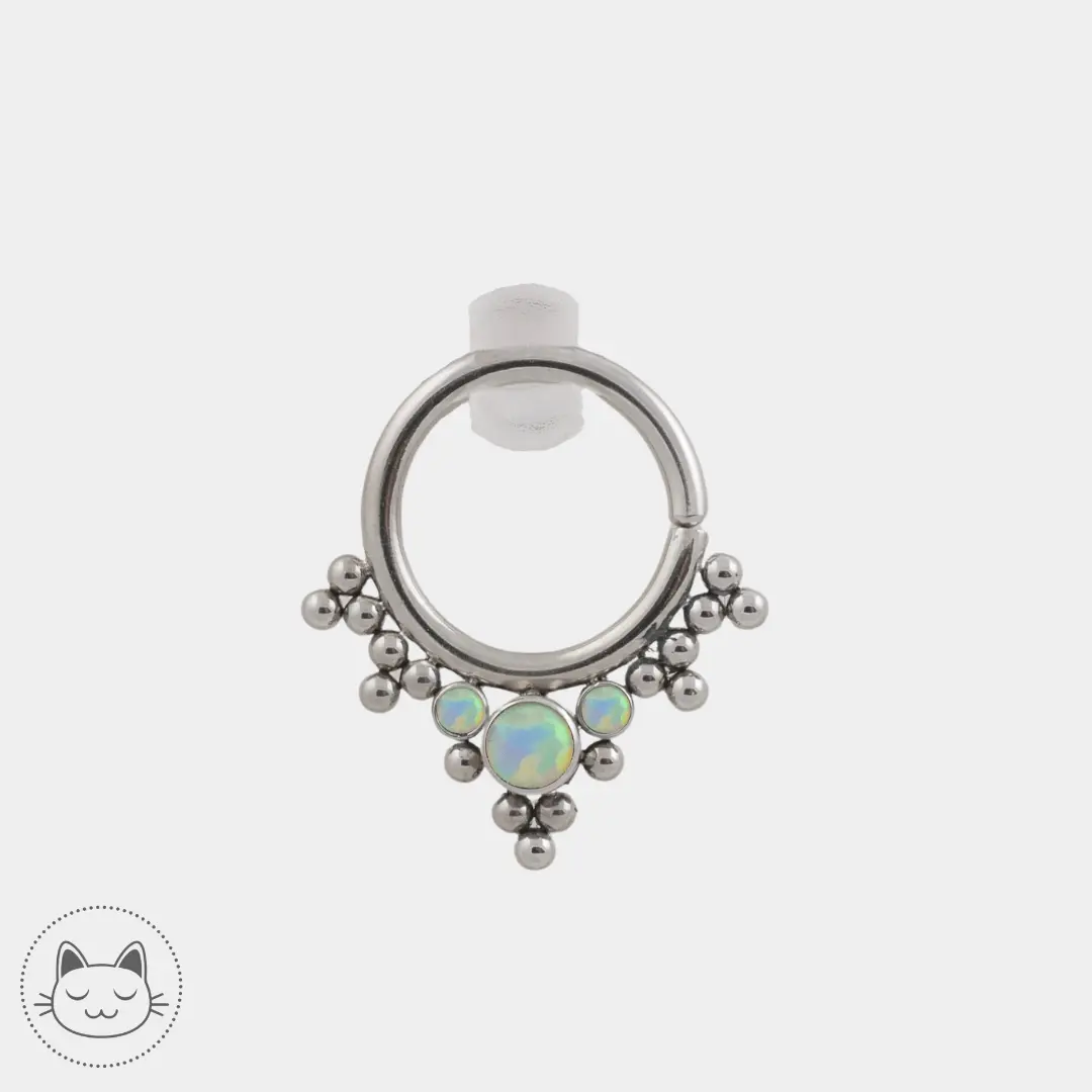 LeRoi - HsmrB - Titane Argenté - Kawaii Place piercing