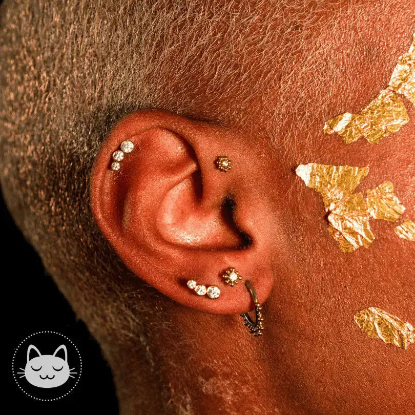 LeRoi -3t G - Titane - Kawaii Place piercing