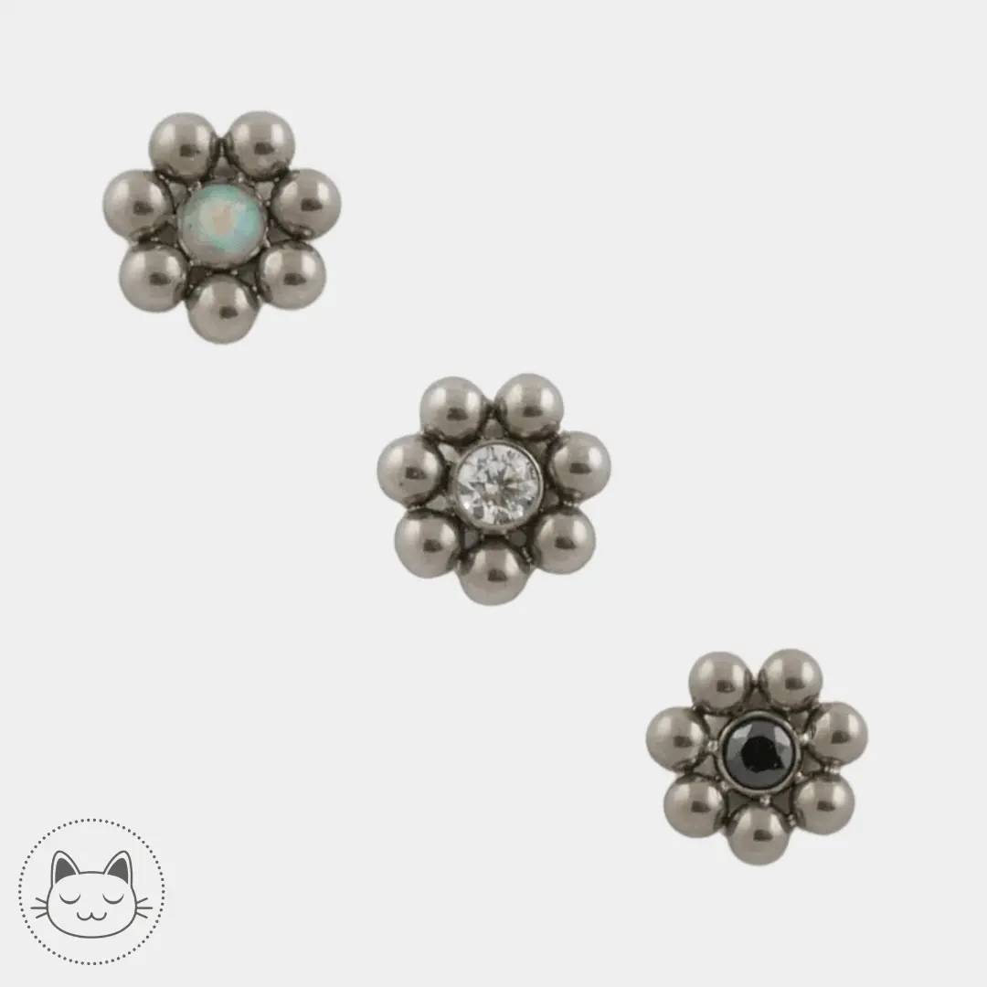 LeRoi - 11ht7 - Titane - Kawaii Place piercing