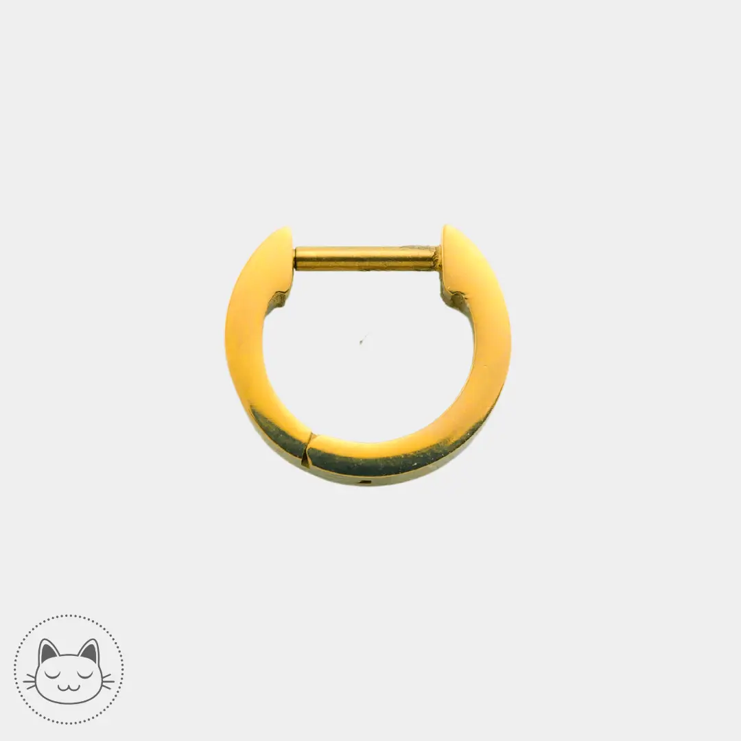 Anneau Titane - Massif - Kawaii Place piercing