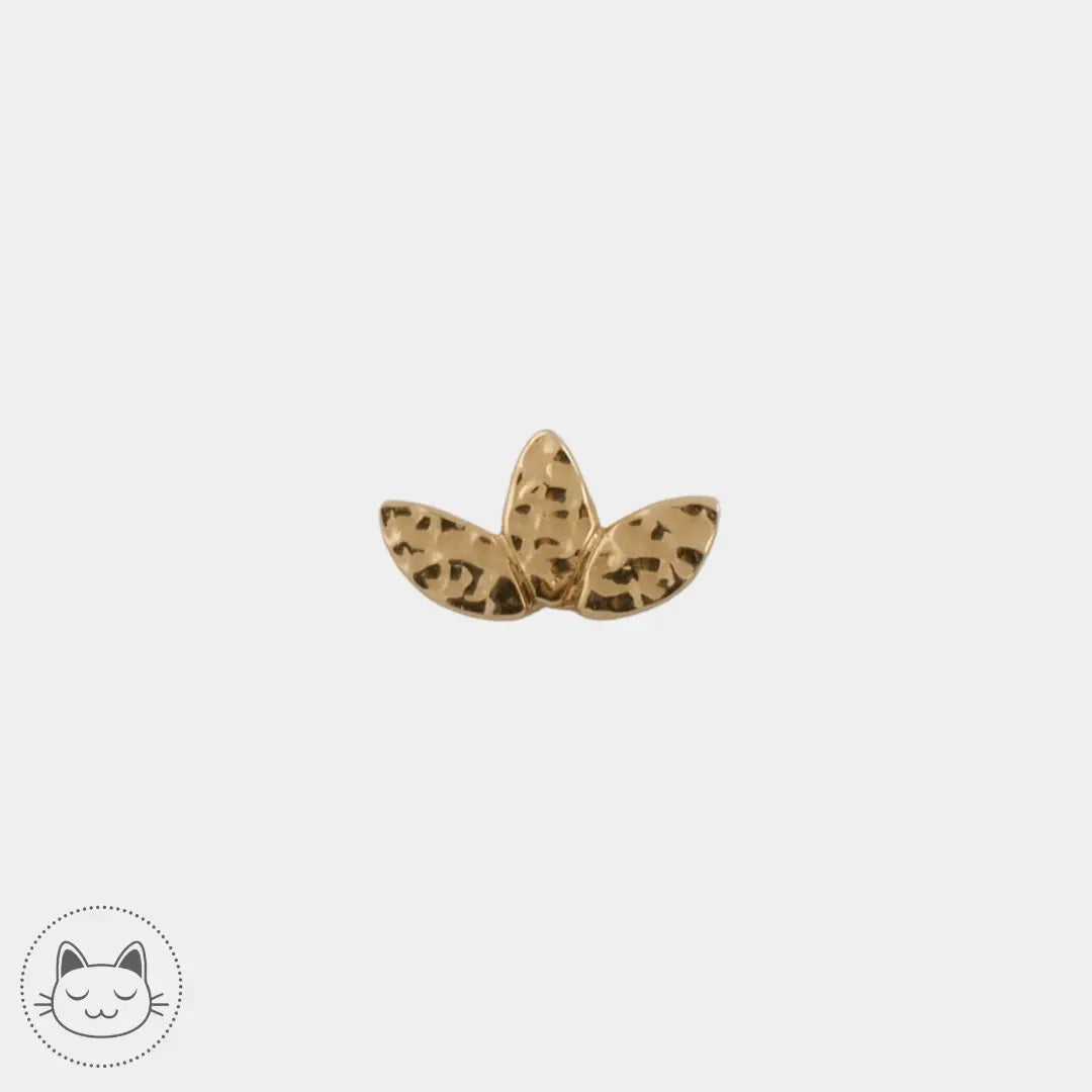 BVLA - Hammered Marquise - - Kawaii Place piercing