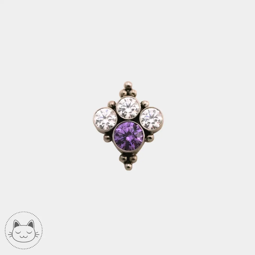LeRoi - 6ht-8 - Titane et zircons violet et blancs Kawaii Place piercing