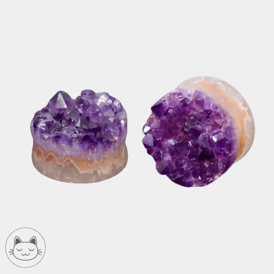 Naga - Plug - Améthyste - Kawaii Place piercing