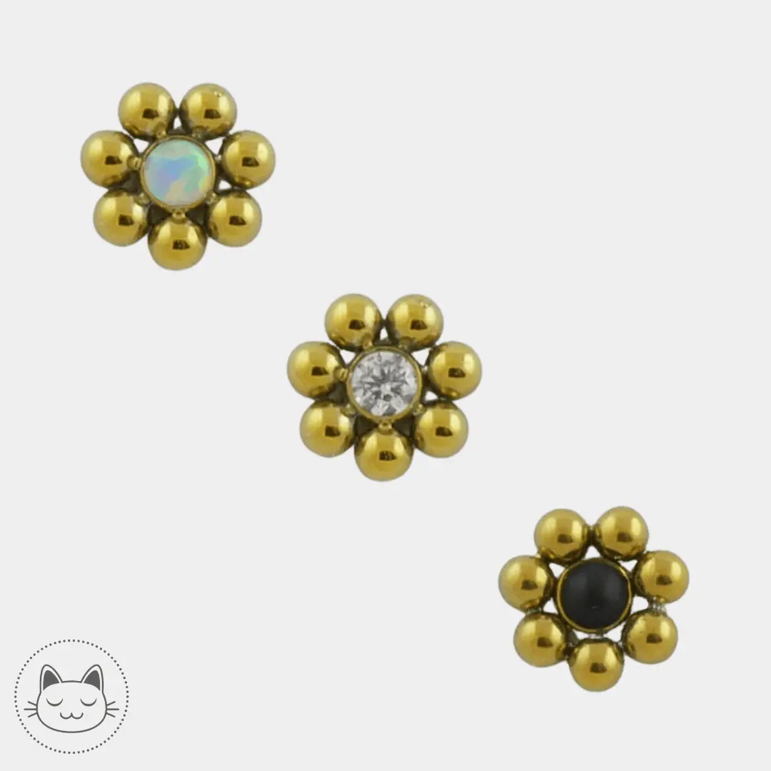 LeRoi - 11ht7 - Titane - Kawaii Place piercing