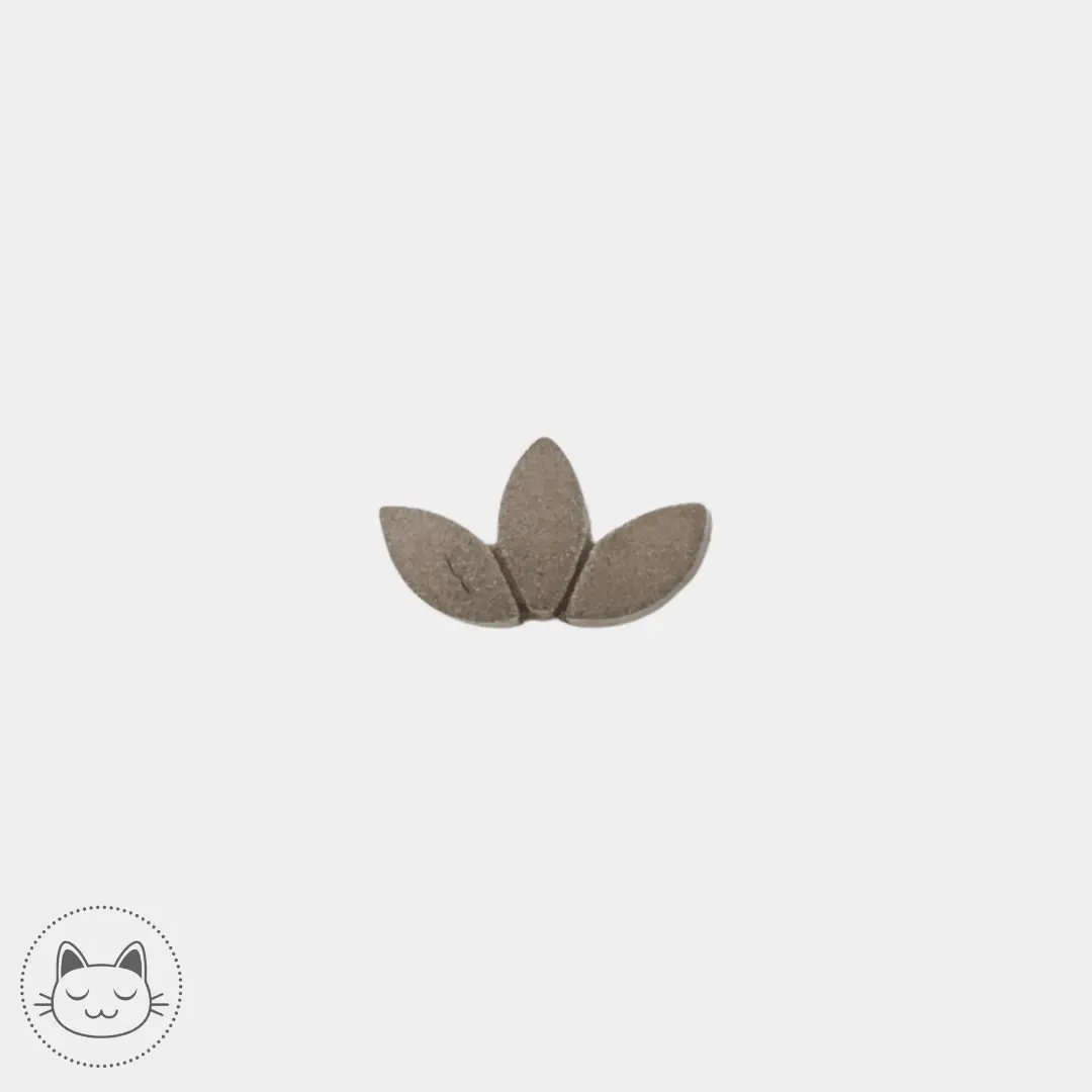 BVLA - Marquise - Sablée mat - Kawaii Place piercing