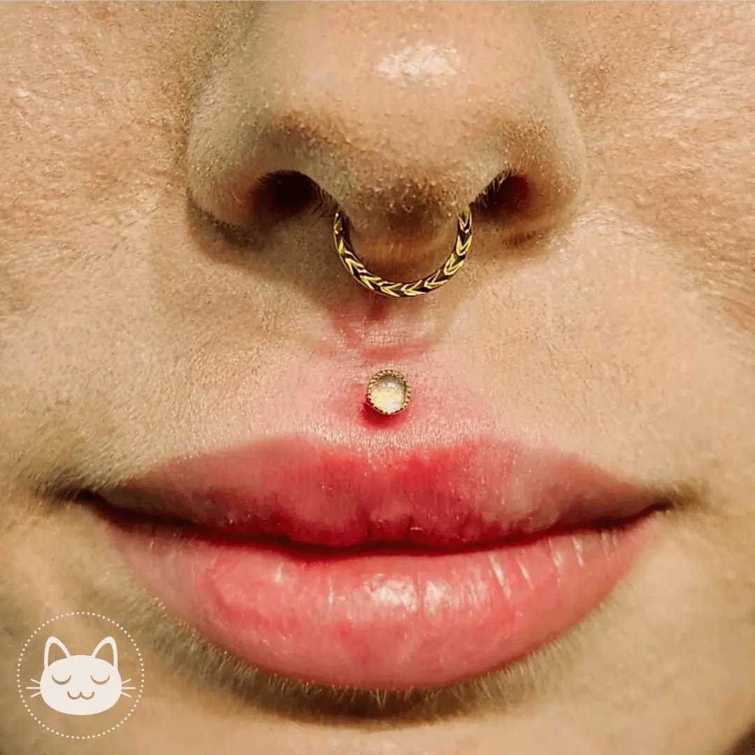 Anneau - Titane - Chevrons - Kawaii Place piercing