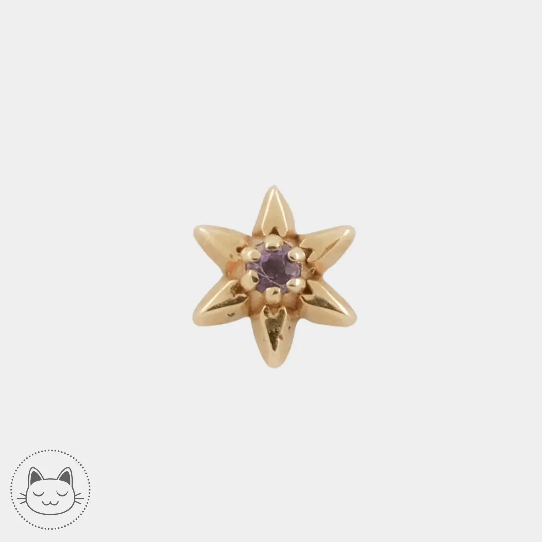 Sacred Symbols - S059 - Améthyste - Kawaii Place piercing