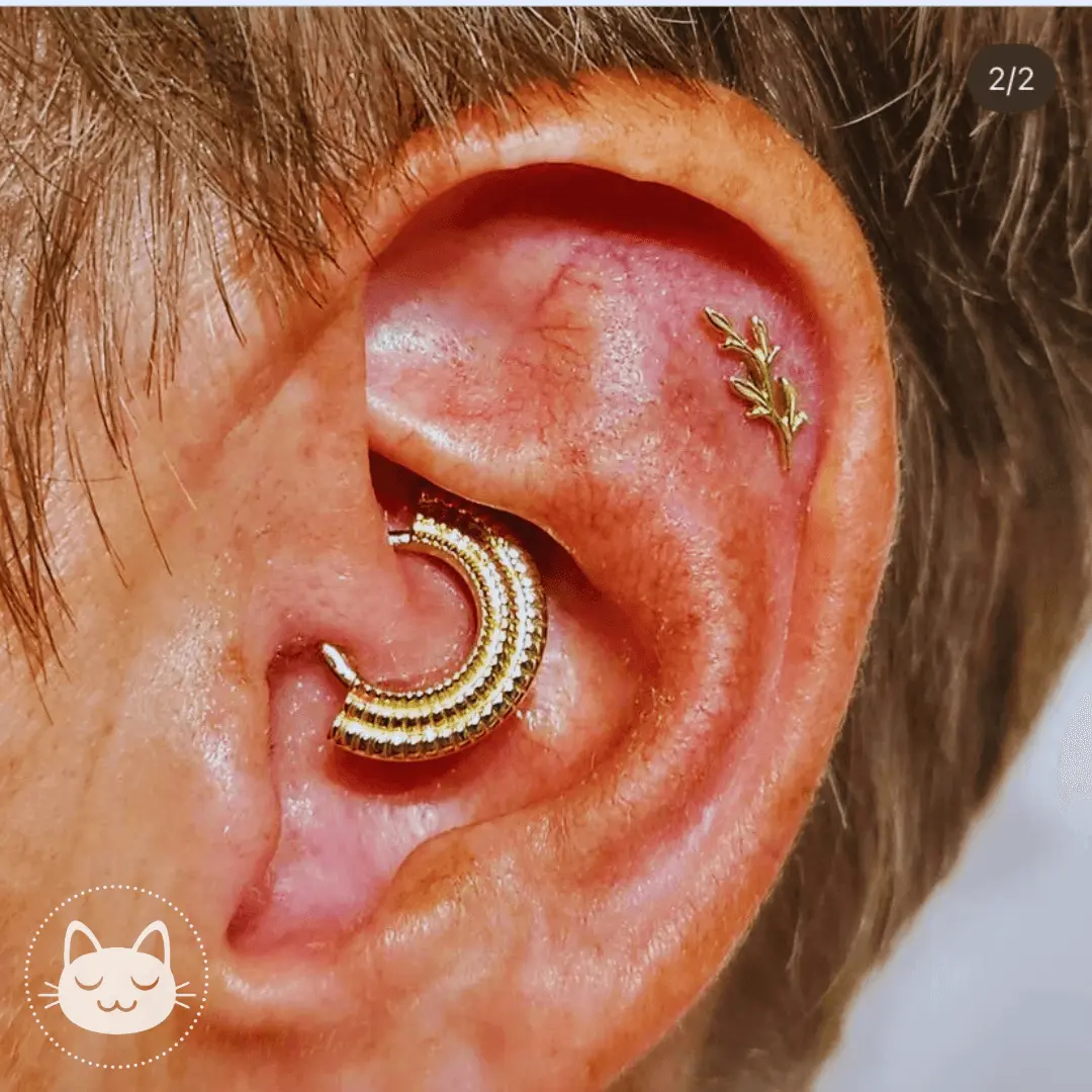 BVLA - Petite Amity - - Kawaii Place piercing