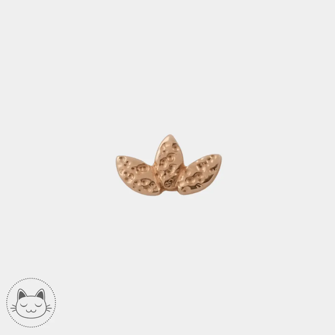 BVLA - Hammered Marquise - - Kawaii Place piercing