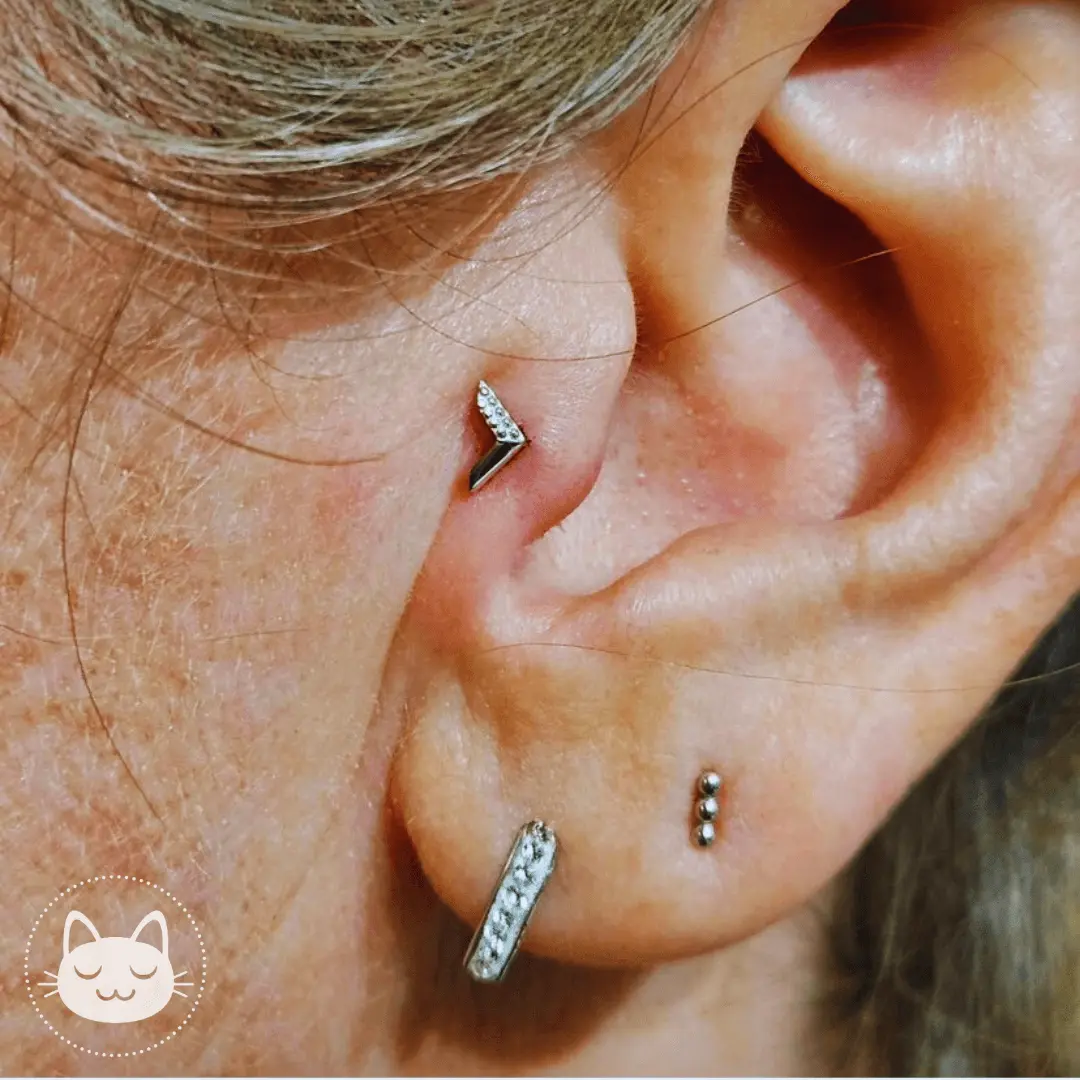 Buddha Jewelry - Vortex - - Kawaii Place piercing