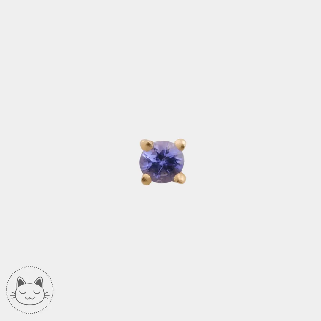 Naga - Gatsby - Or jaune et Tanzanite - Kawaii Place piercing