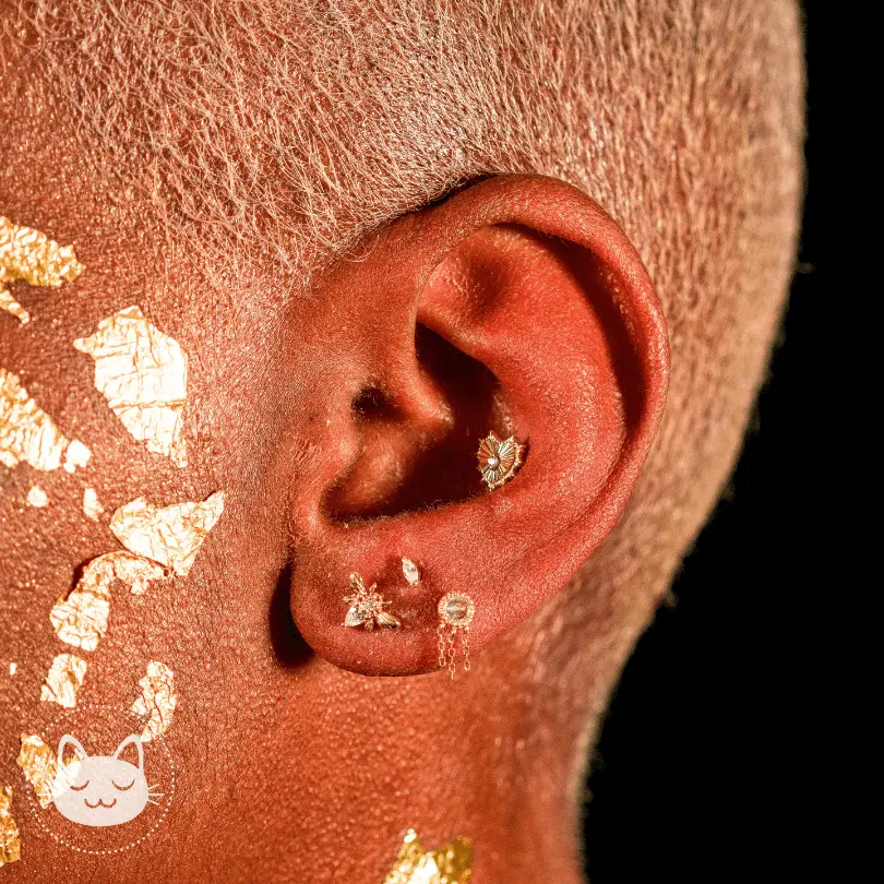 Buddha Jewelry - Bad Romance - Zircon blanc - Kawaii Place piercing