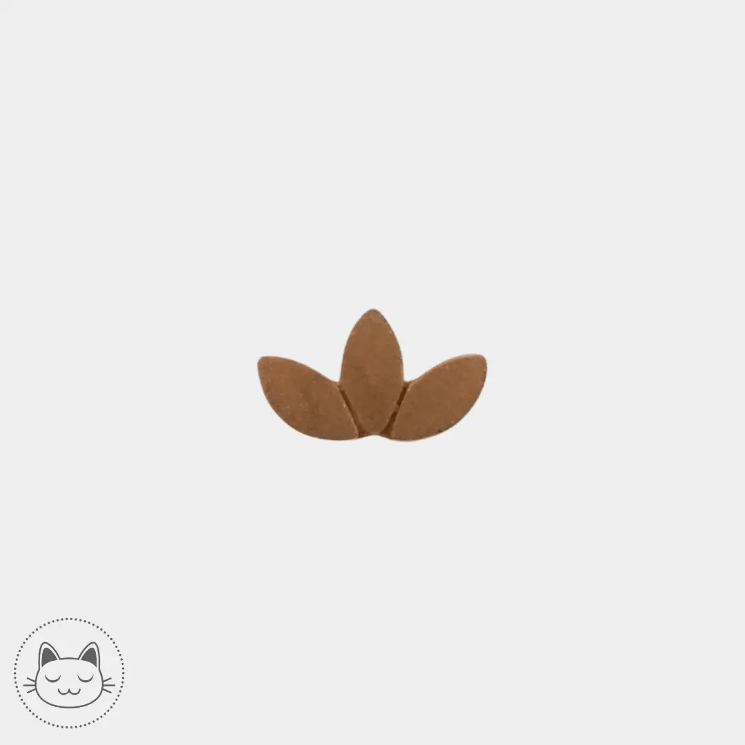 BVLA - Marquise - Sablée mat - Kawaii Place piercing