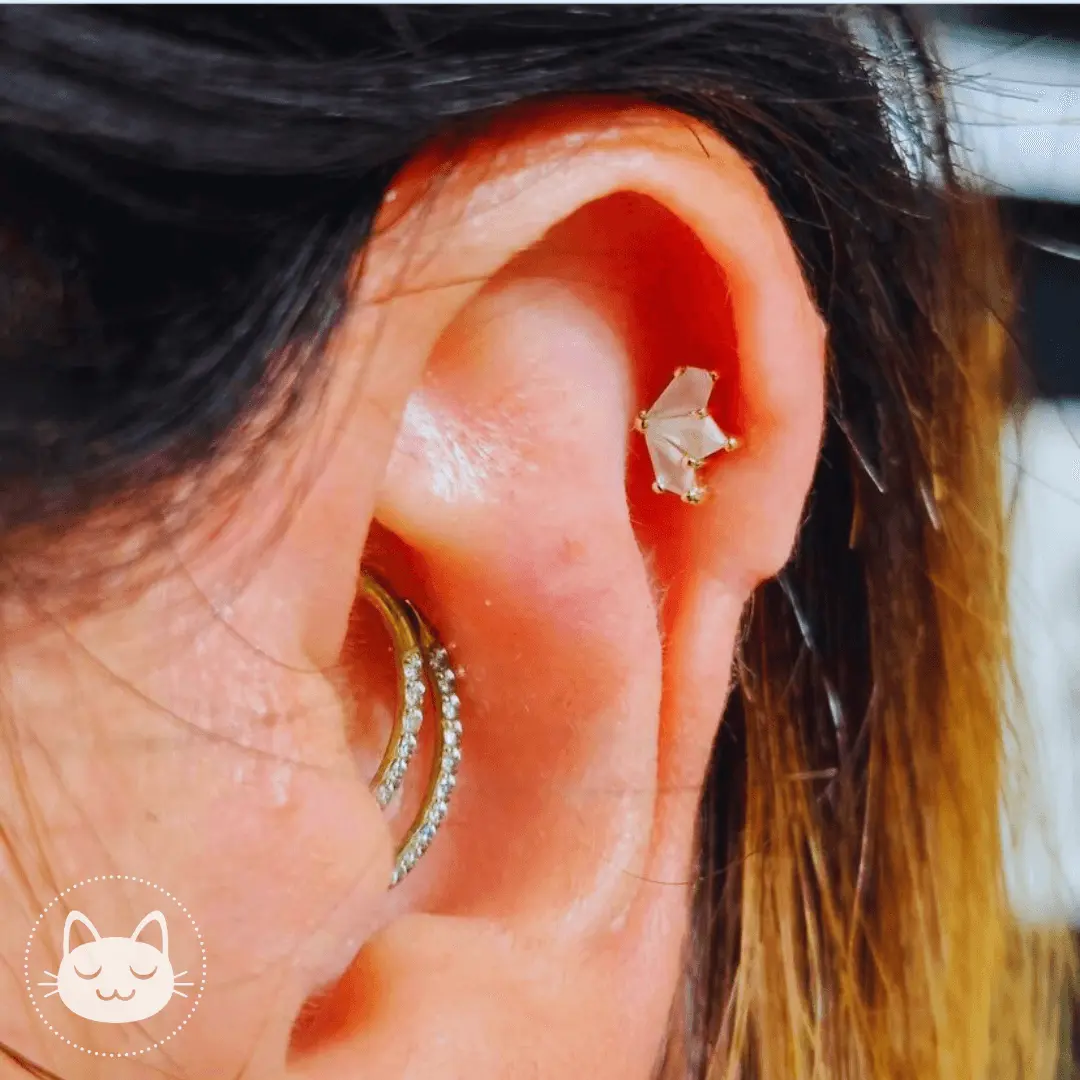 BVLA - Daydream - Onyx - Kawaii Place piercing