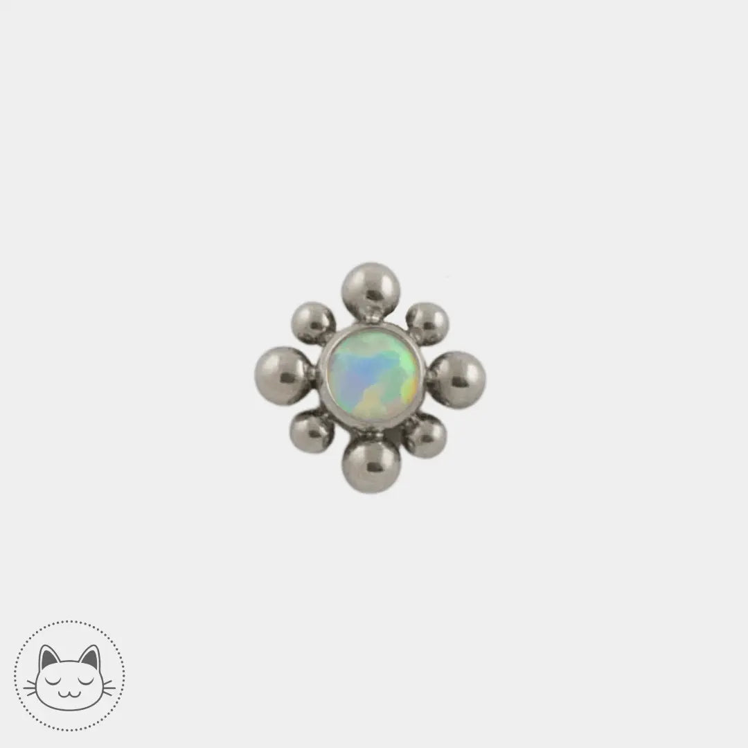 LeRoi - 15t - Titane - Kawaii Place piercing