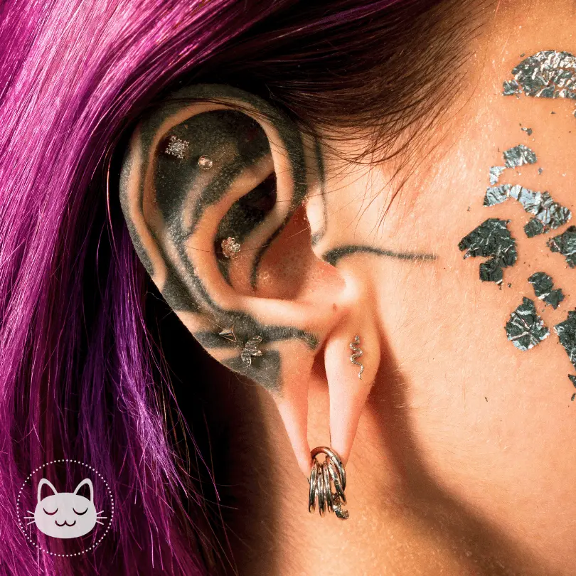 BVLA - Hammered Marquise - - Kawaii Place piercing