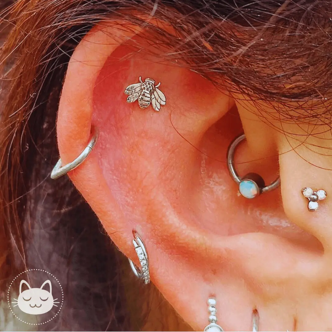 LeRoi - Bee - Abeille - Kawaii Place piercing