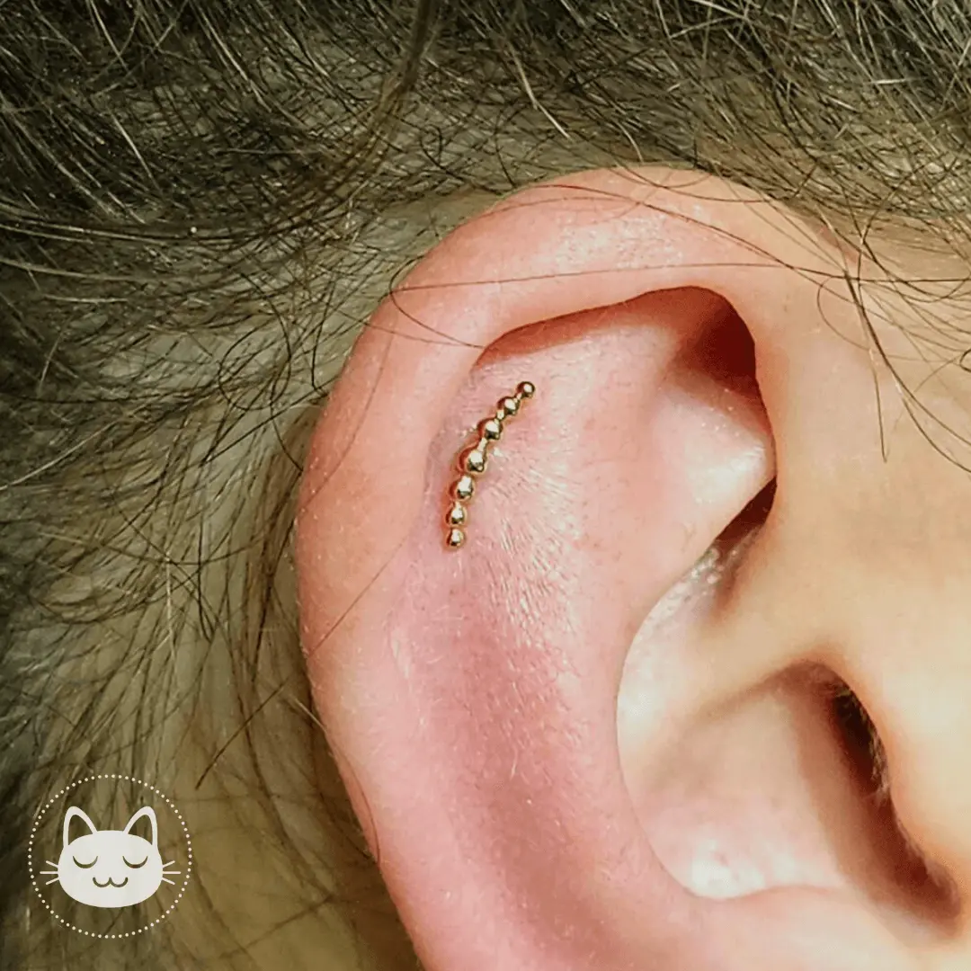 Auris- Nefertiti - Kawaii Place piercing