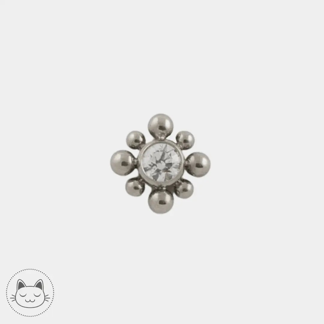 LeRoi - 15t - Titane - Kawaii Place piercing