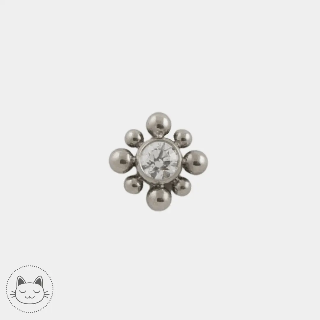 LeRoi - 15t - Titane - Kawaii Place piercing