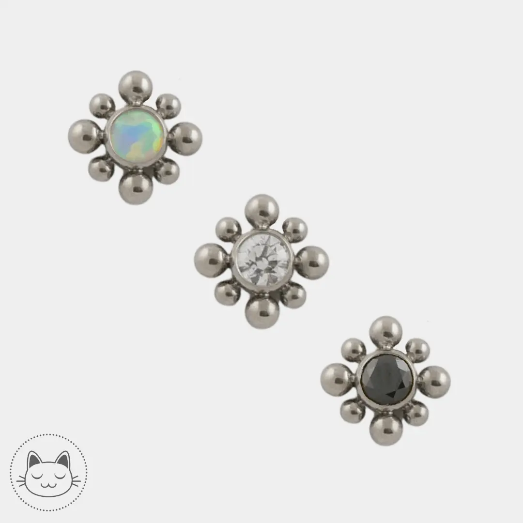 LeRoi - 15t - Titane - Kawaii Place piercing